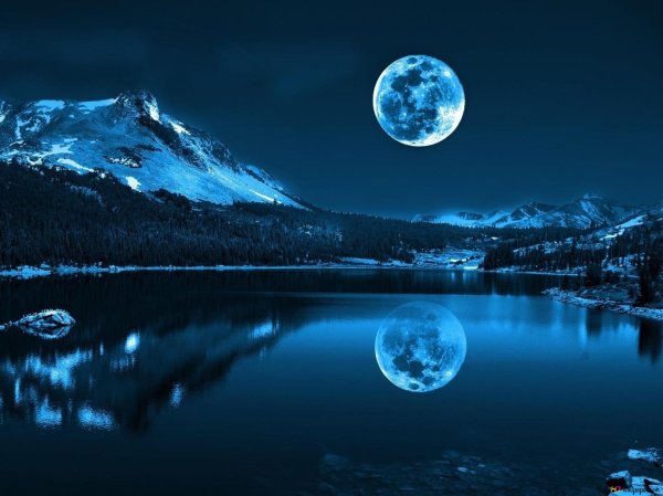 лунная ночь