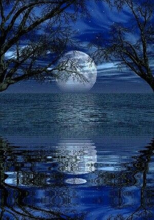 спокойной ночи природа