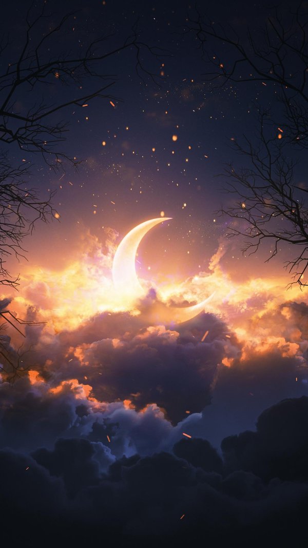 ночное небо