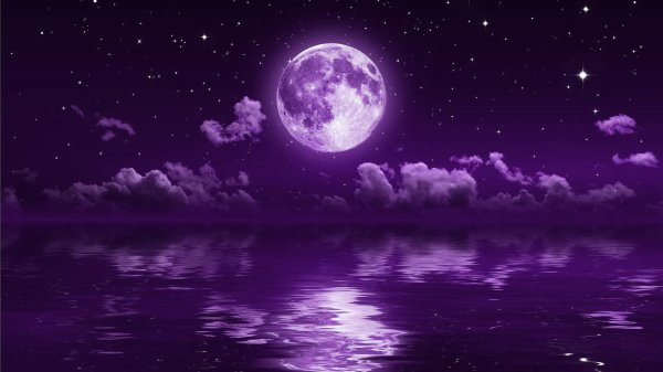 purple moon