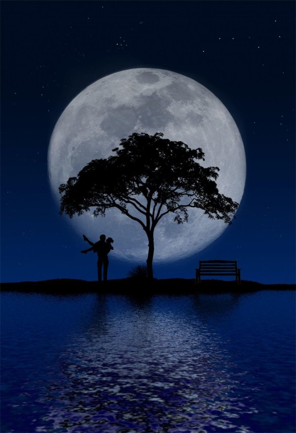на фоне луны