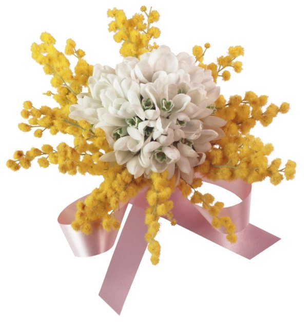 букетик мимозы