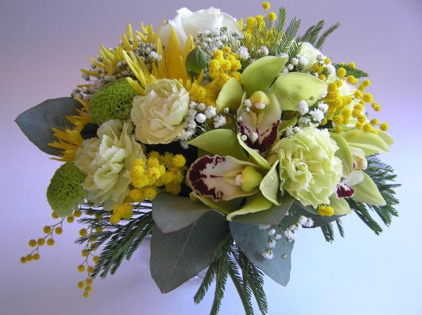 орхидея цимбидиум фисташковая