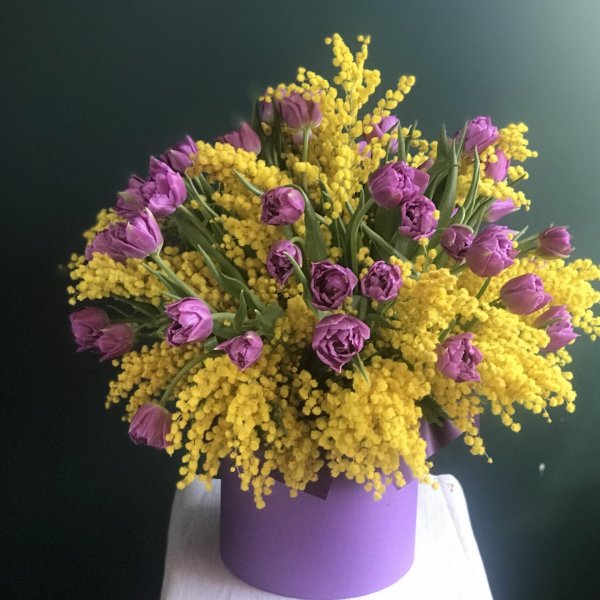 композиции из мимозы