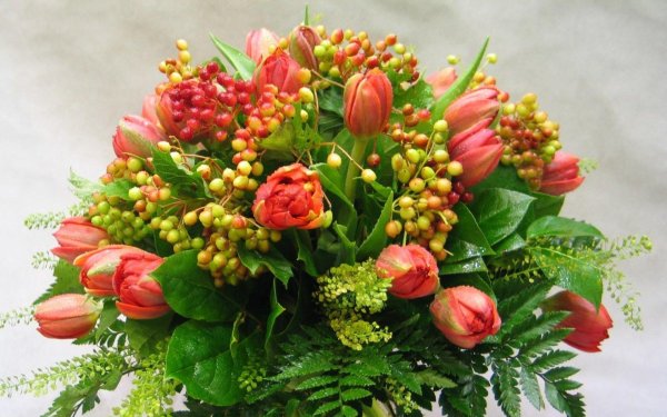 букеты тюльпаны и солидаго