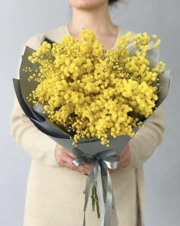 мимоза монобукет