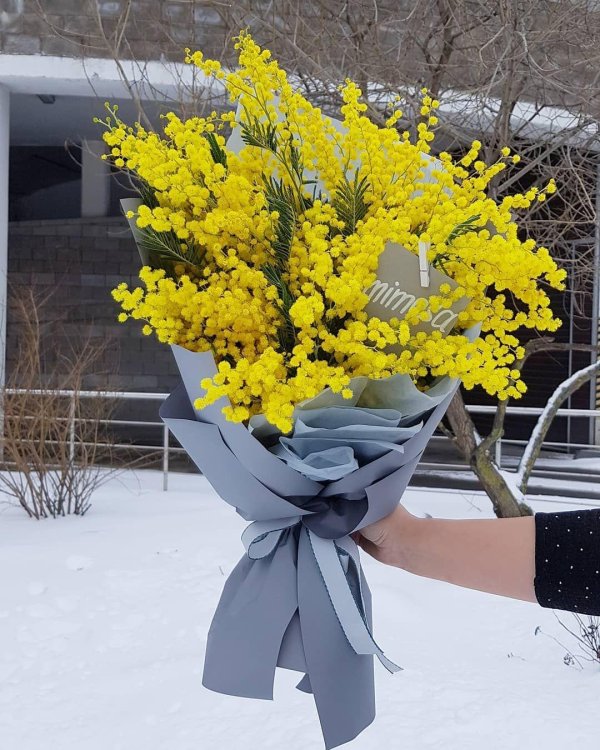 букет из мимоз