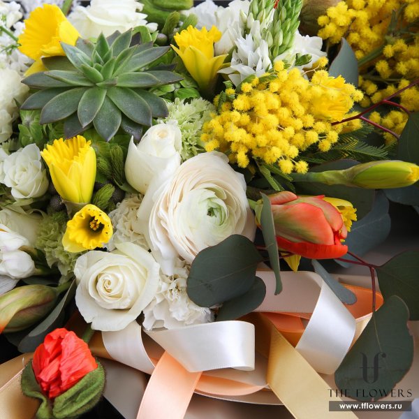 красивый букет мимозы