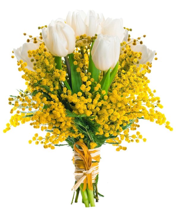 тюльпаны с солидаго