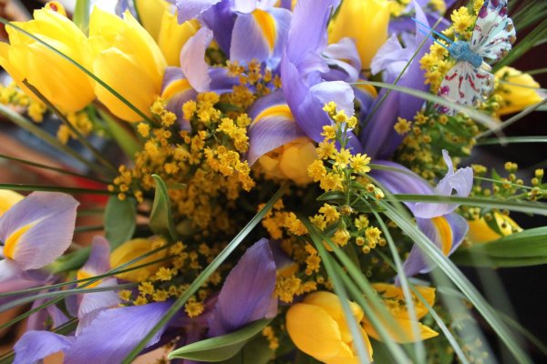 тюльпаны мимоза