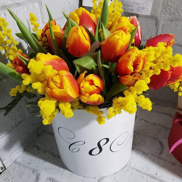 коробка с тюльпанами