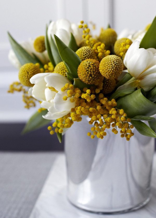 тюльпаны нарциссы и мимозы