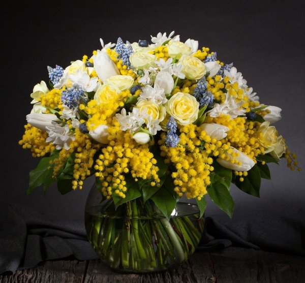 тюльпаны мимоза