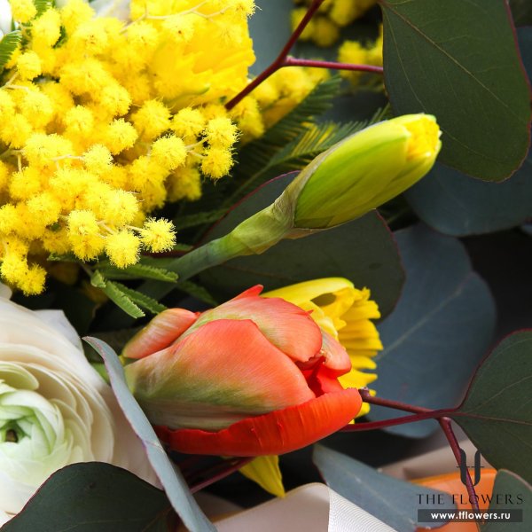 мимоза монобукет