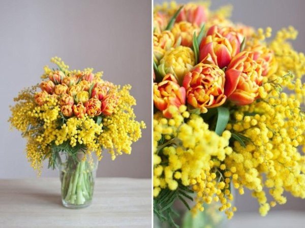 тюльпаны нарциссы и мимозы