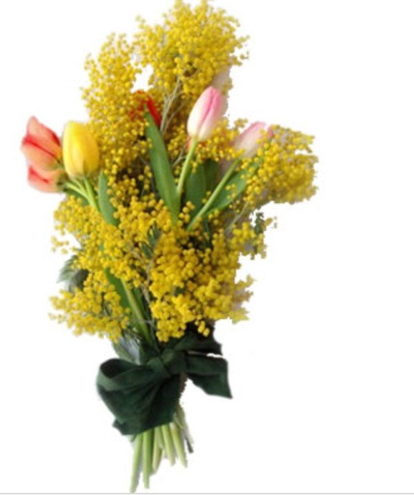 тюльпаны нарциссы и мимозы