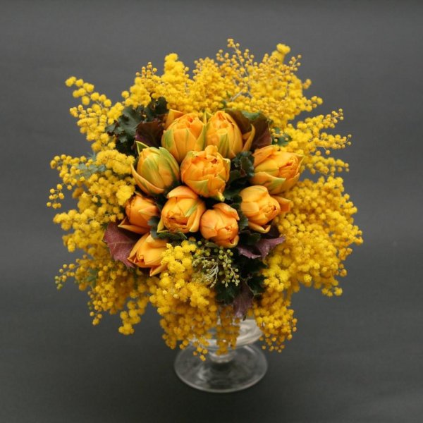 тюльпаны мимоза