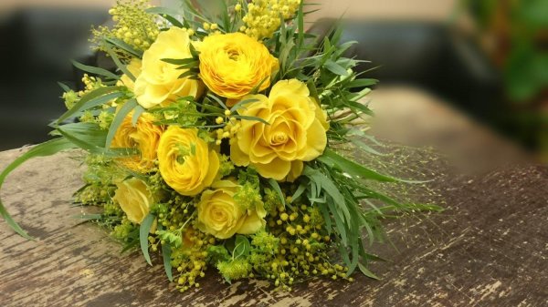 мимоза цветок