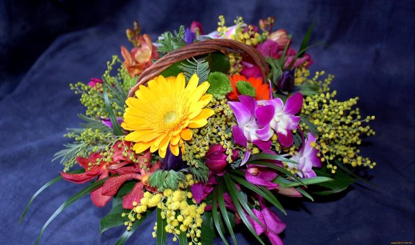 цветы букеты композиции