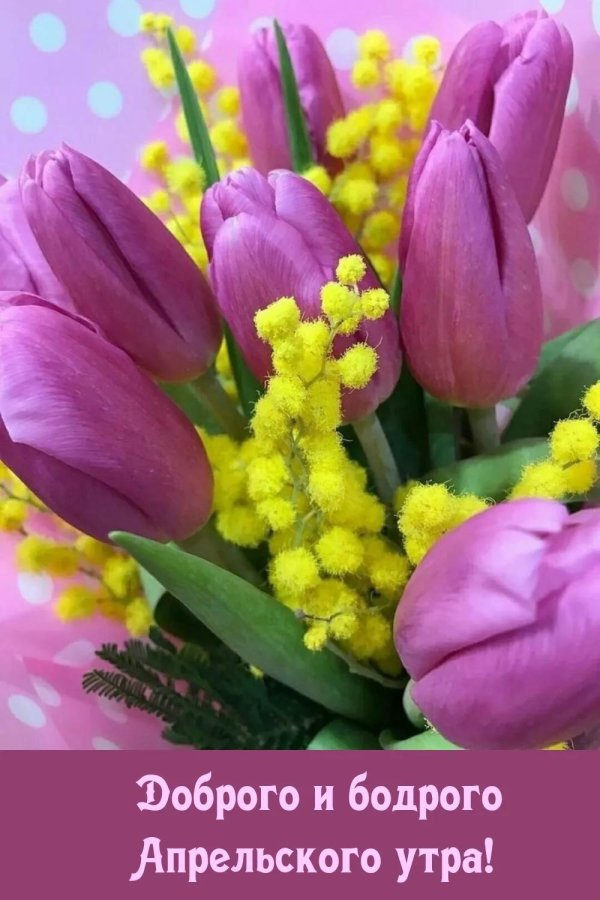 весенние цветы