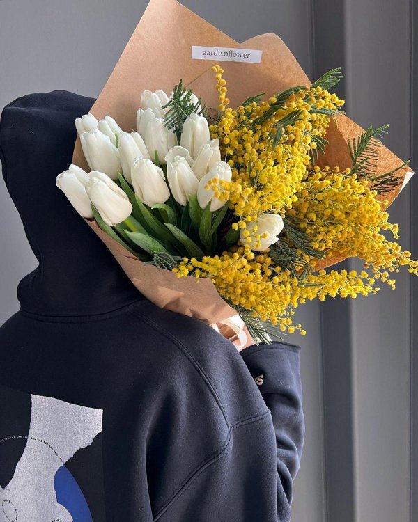 тюльпаны мимоза