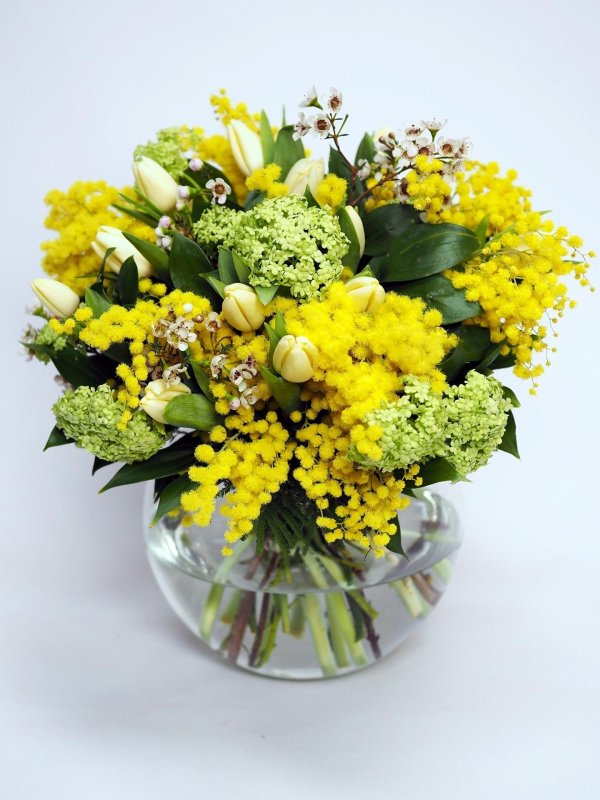 тюльпаны мимоза