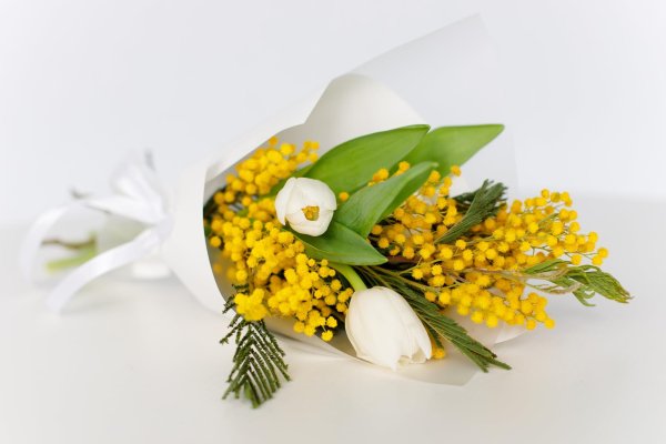 тюльпан с мимозой