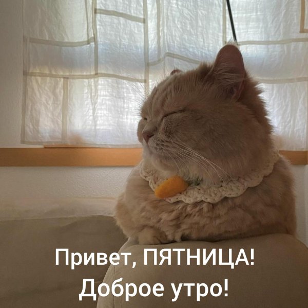 добрейшего утра пятницы