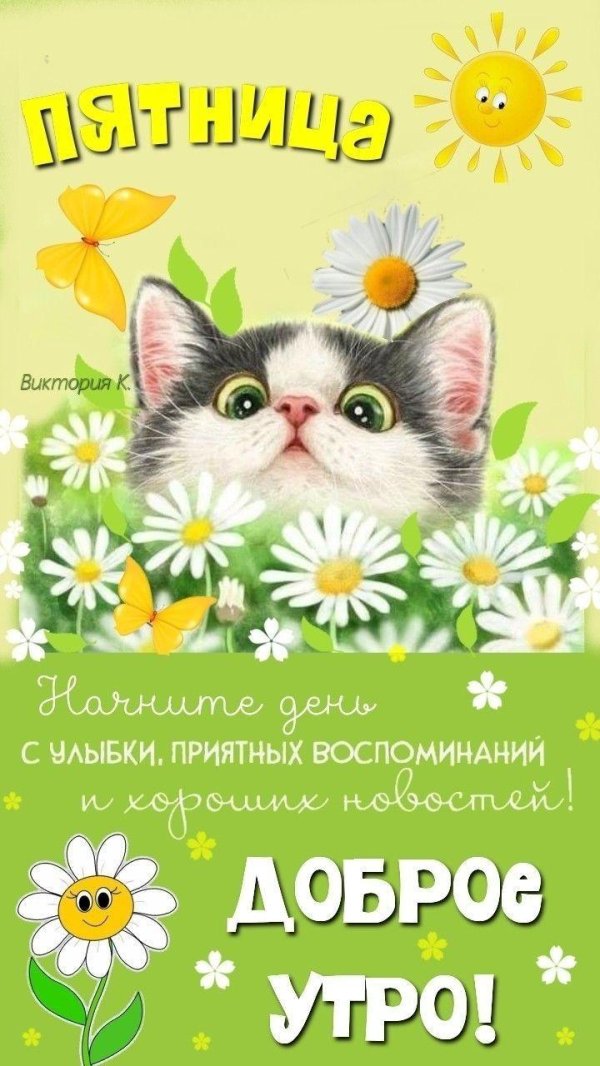 с добрым утром понедельника