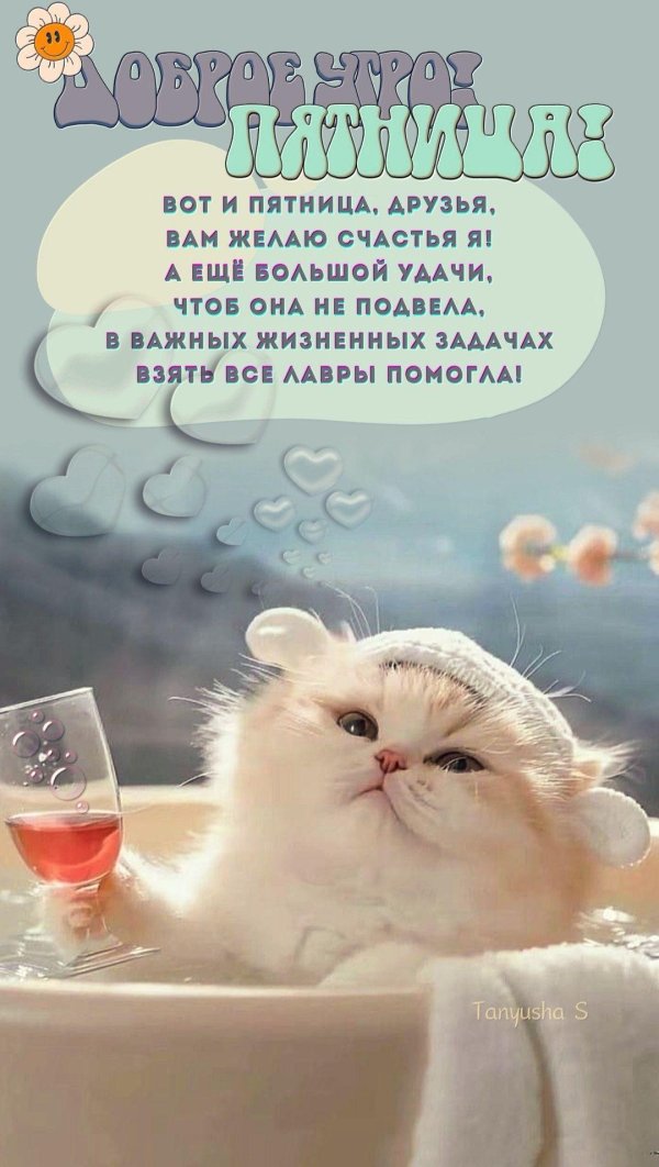 утро пятница