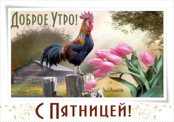 доброго утра пятница прикольные
