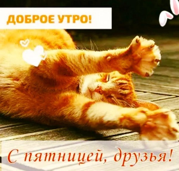 доброго утра в пятницу