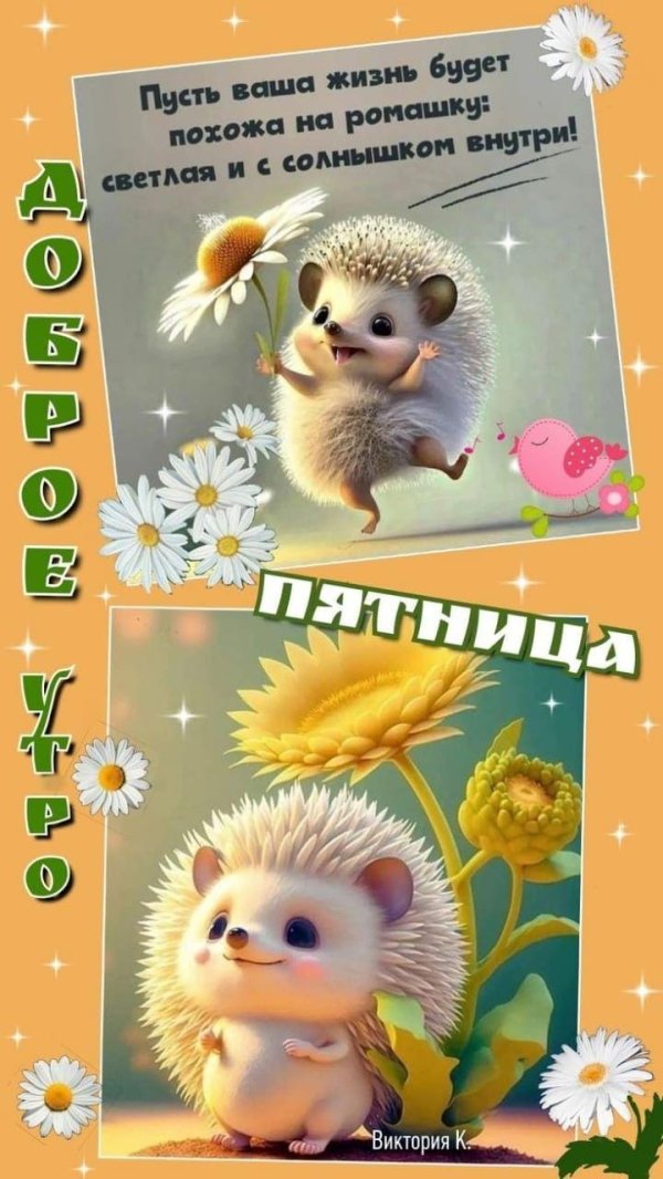 доброго утра пятница прикольные