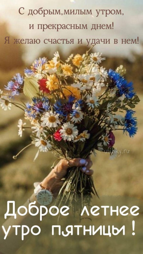 лето прощай