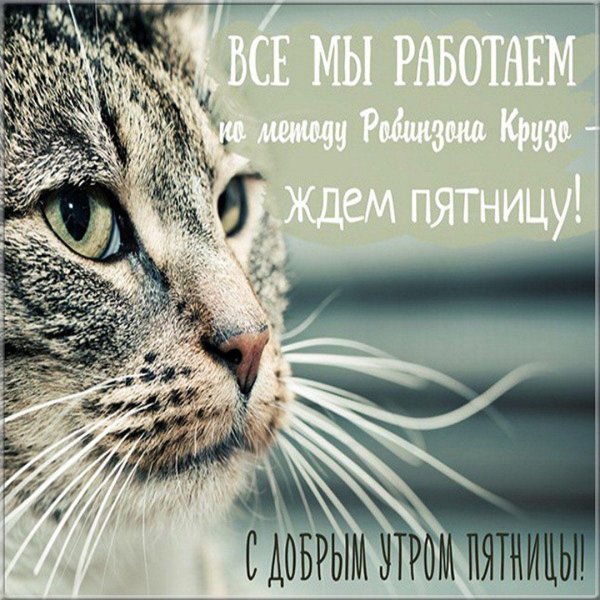 Доброе пятничное утро