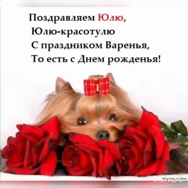 йоркширский терьер