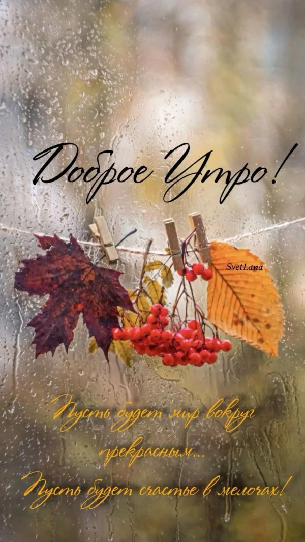 доброго дождливого осеннего утра
