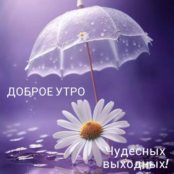 доброго дождливого утра