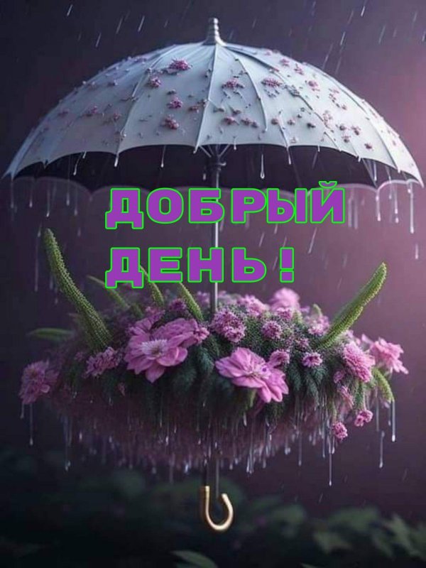 зонт под дождем