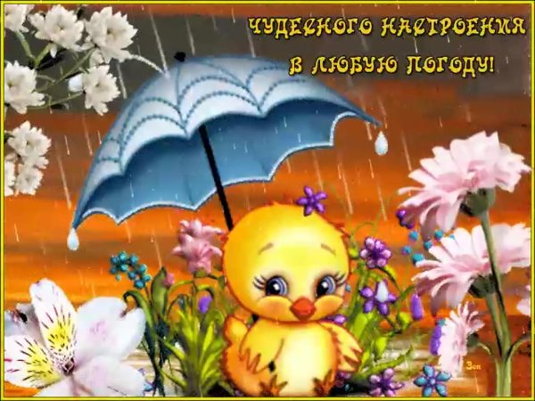 отличного настроения