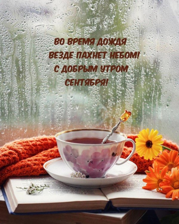 доброго дождливого утра