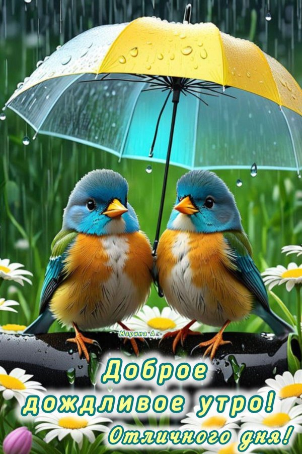 доброго дождливого утра