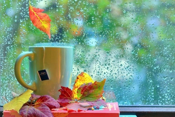 осеннее чаепитие