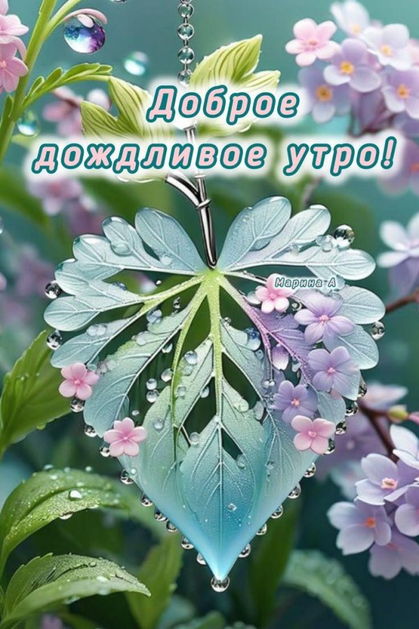 дождливого утра