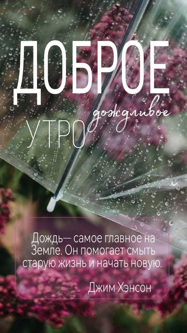 красивый дождь