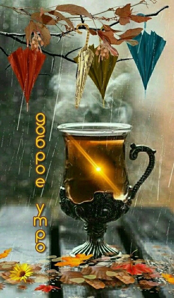 доброго дождливого утра