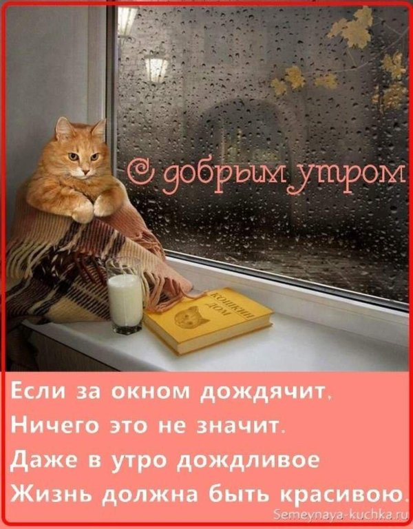утро дождливое