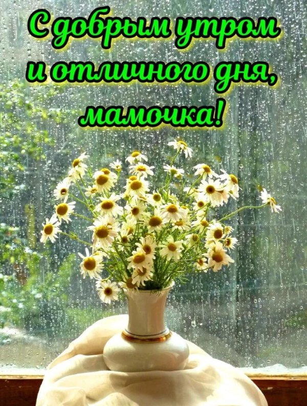 доброго дождливого летнего утра