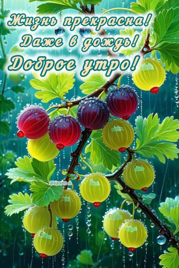 утра доброго прекрасного