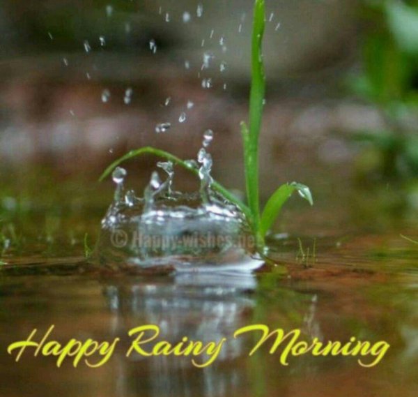 открытки с добрым дождливым утром